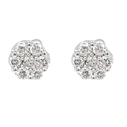 14K White Gold Diamond Cluster Stud Earrings
